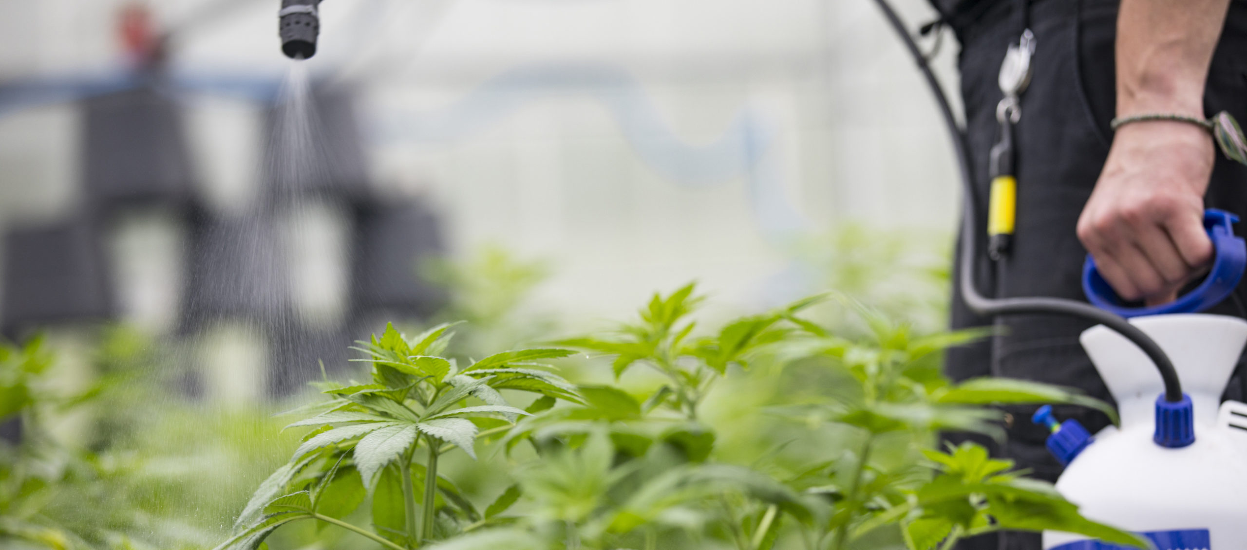 Talkov Law Corp Palo Alto, CA Office