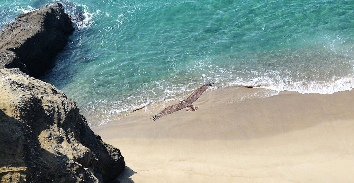 Buche & Associates, PC Santa Monica, CA Office