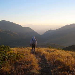 Gregory W. Stevens, P.C Salt Lake City, UT Office