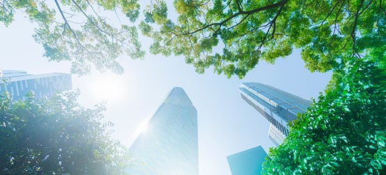 Freshfields Tokyo, Papua New Guinea Office