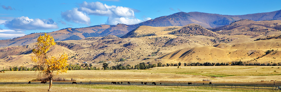 Christensen Fulton & Filz, PLLC Billings, MT Office