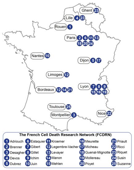 Obeid Law Firm Paris, France Office