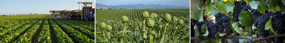 The Saqui Law Group Salinas, CA Office