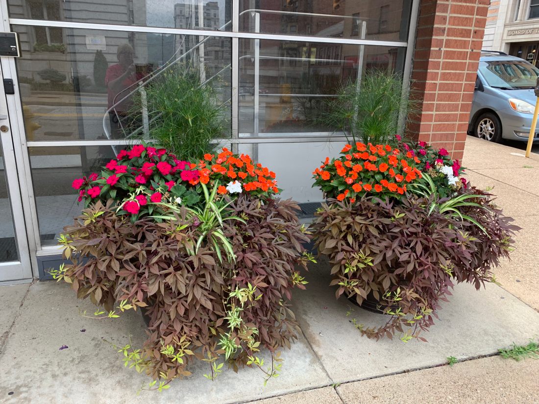 Casey & Chapman, PLLC Wheeling,  Office