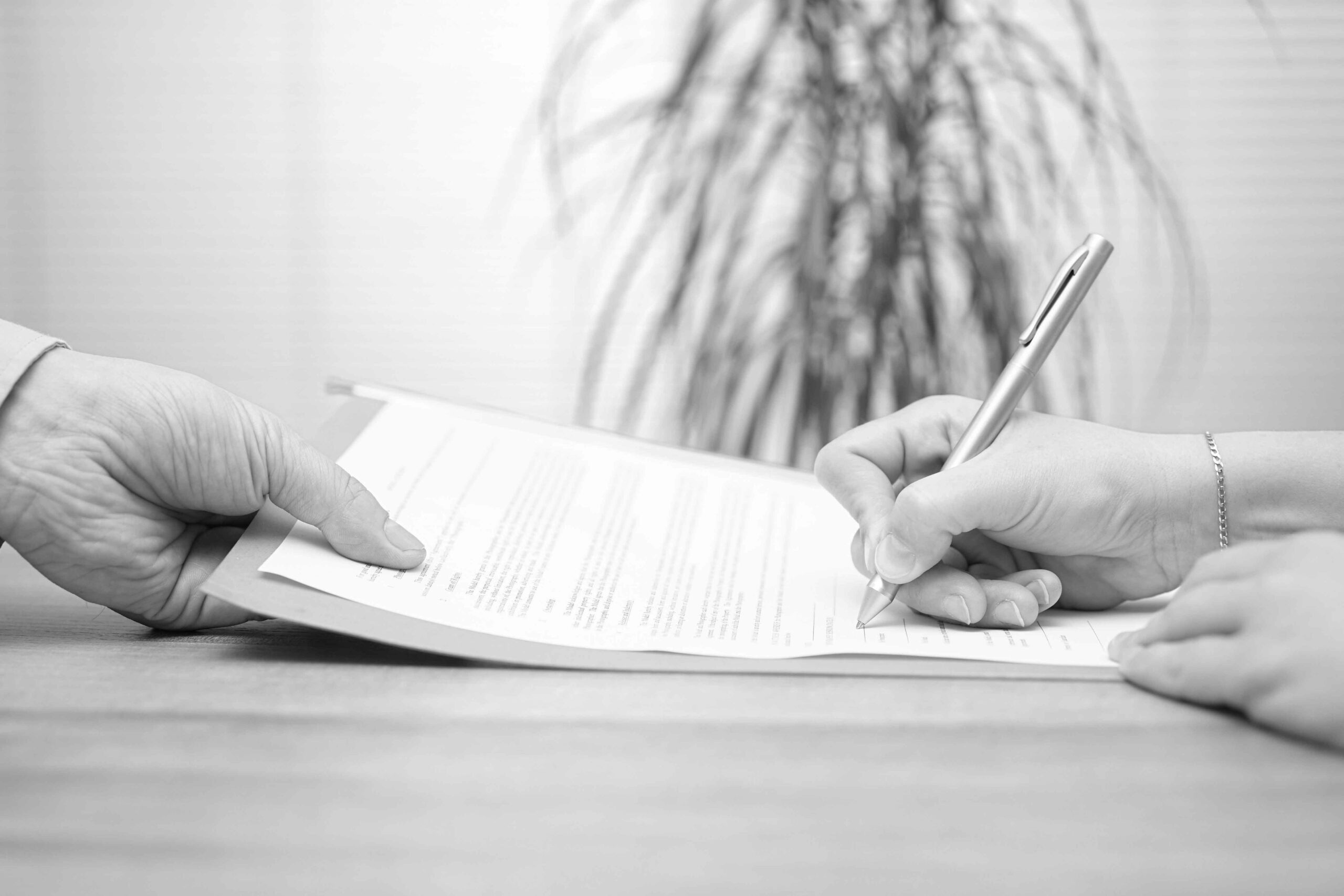 Nelligan Law Alexandria, Canada Office