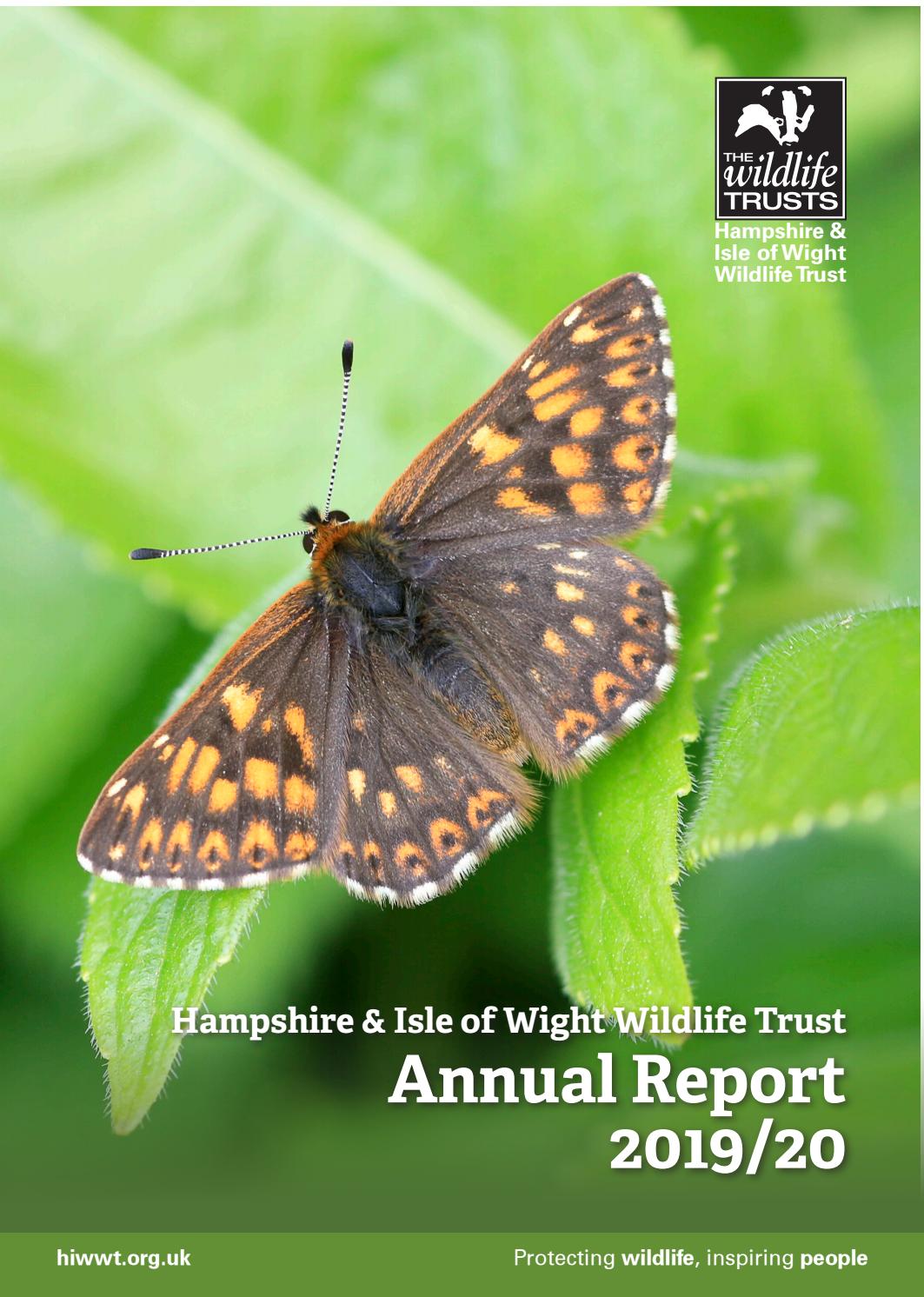 CoffinMew Southampton, UK-England Office