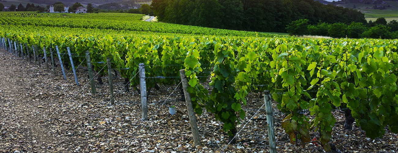 Kemnitzer Barron & Krieg Fresno,  Office