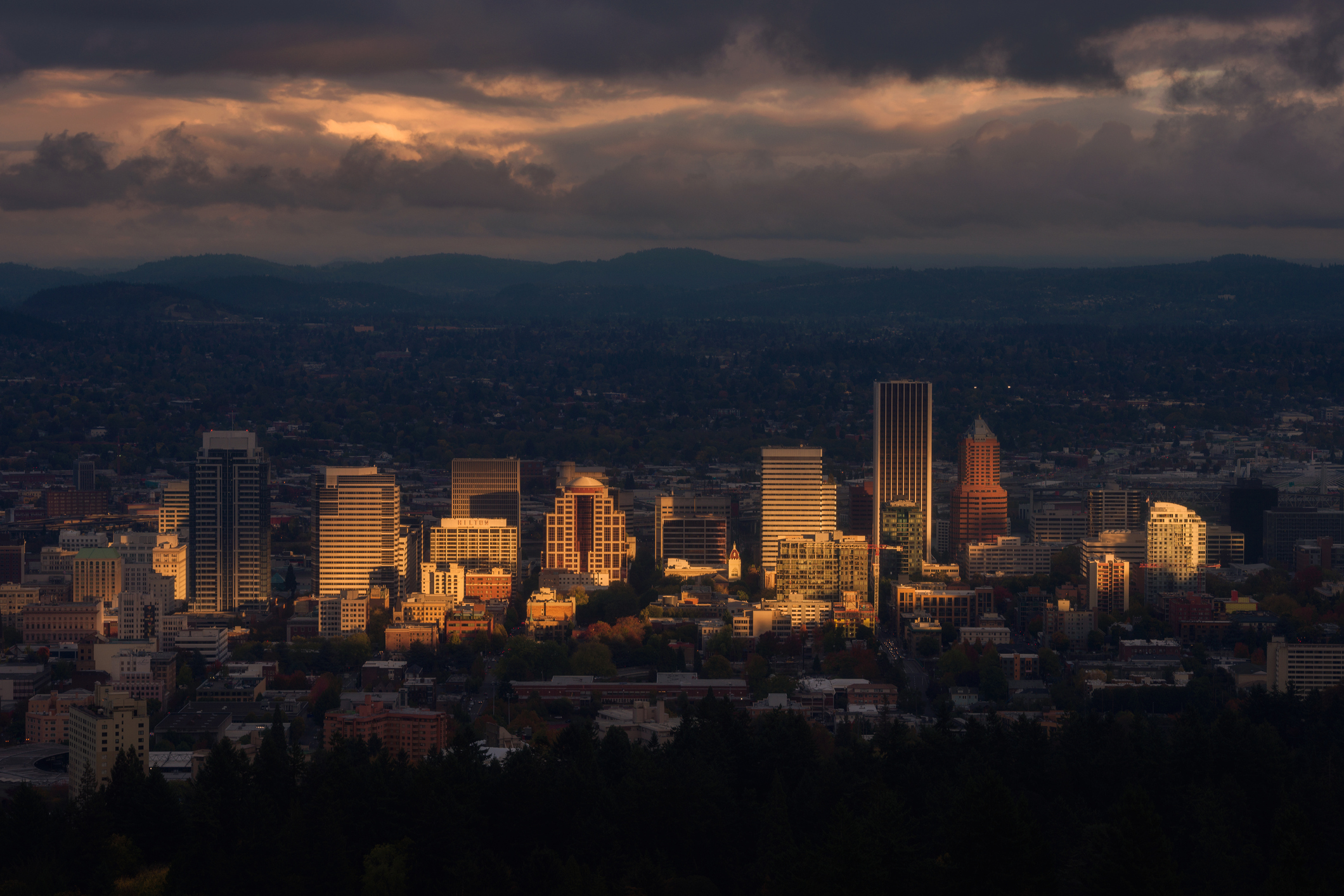 McEwen Gisvold LLP Portland, OR Office