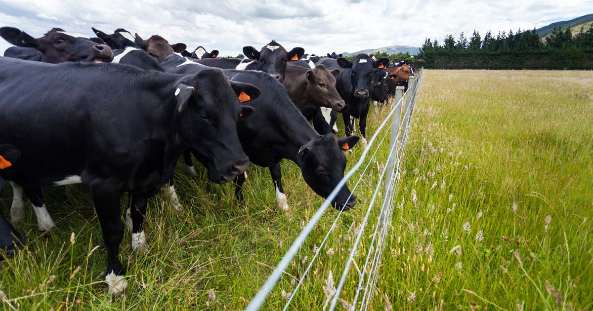 Brennan Steil SC Delavan, WI Office