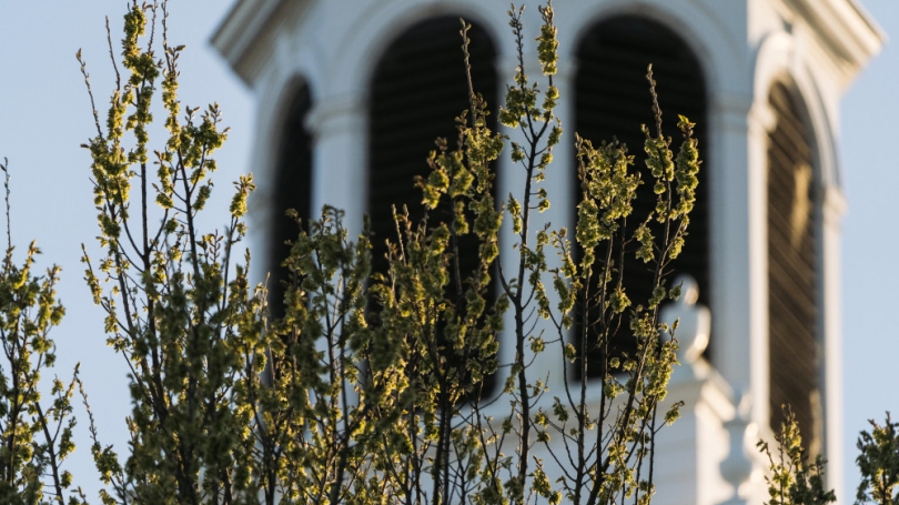 Margolis Bloom & DAgostino , United States Office