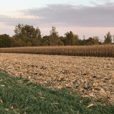 Estebo, Frank & Munshower, Ltd Redwood Falls, MN Office