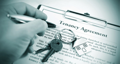 Handel & Carlini, LLP Poughkeepsie, NY Office