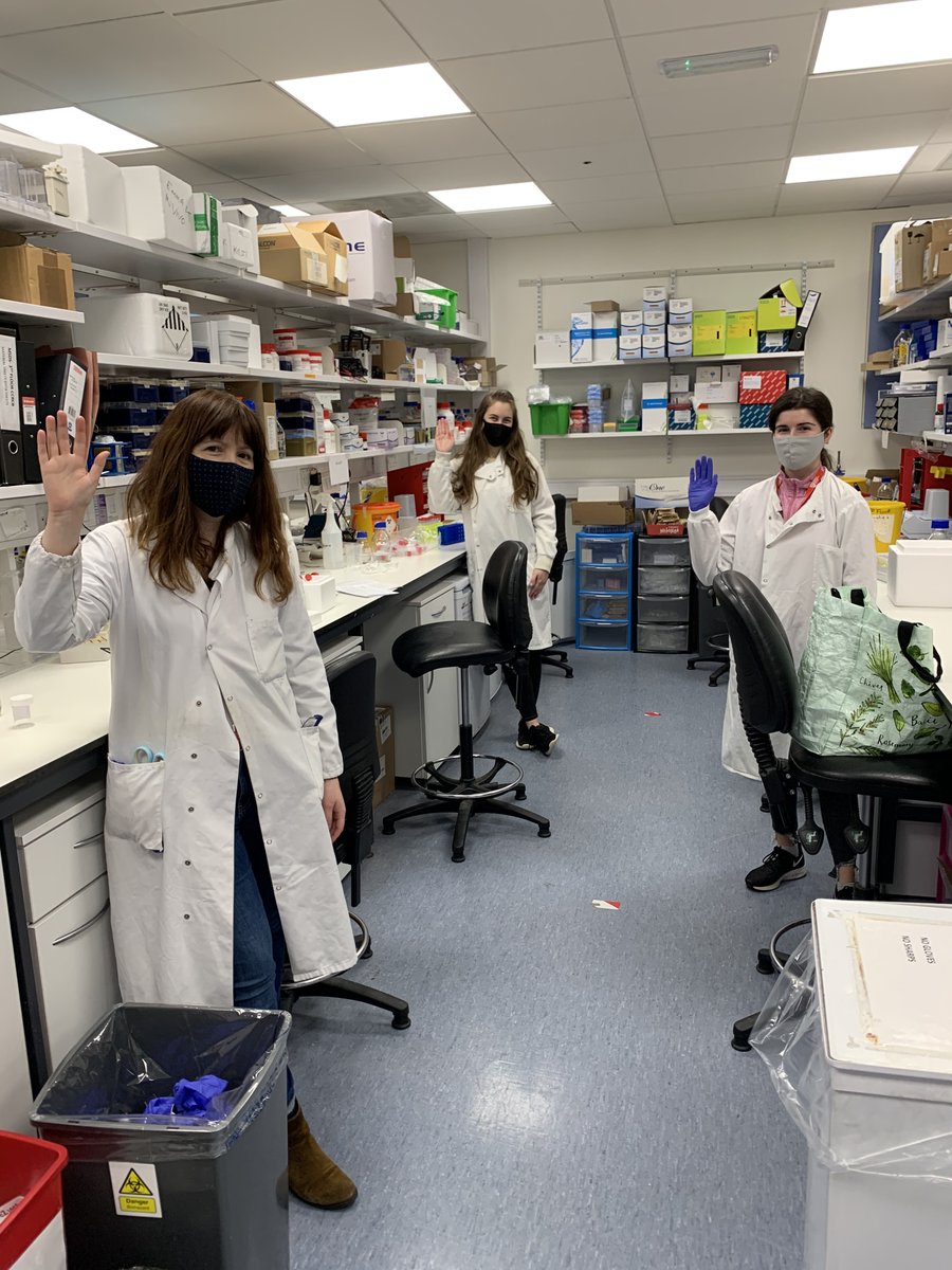 Thompsons Newtownards, Ireland Office