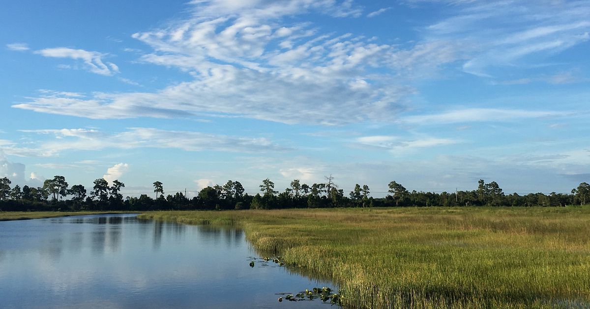 Hornthal, Riley, Ellis & Maland Columbia, NC Office