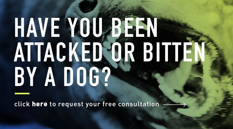 Rosenberg & Gluck, LLP Holtsville, NY Office