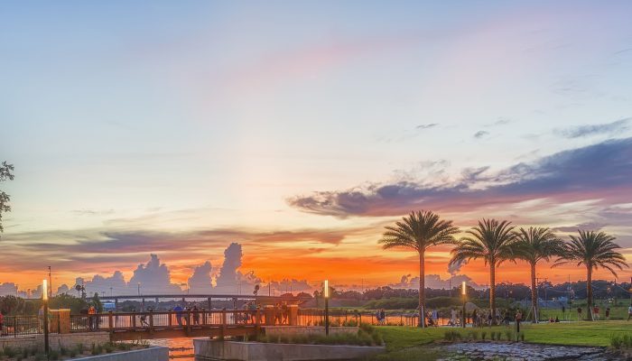 Wilkes & Associates Tampa,  Office