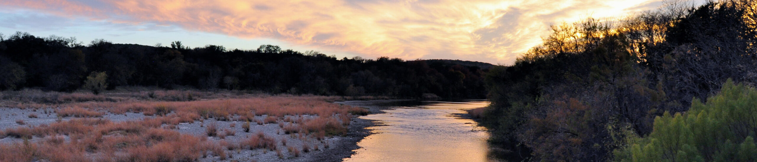 Andrea Winters, P.C Dallas,  Office