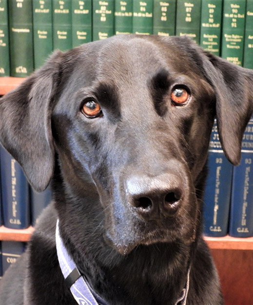 Goldstein Law Office, PLLC Olympia, WA Office