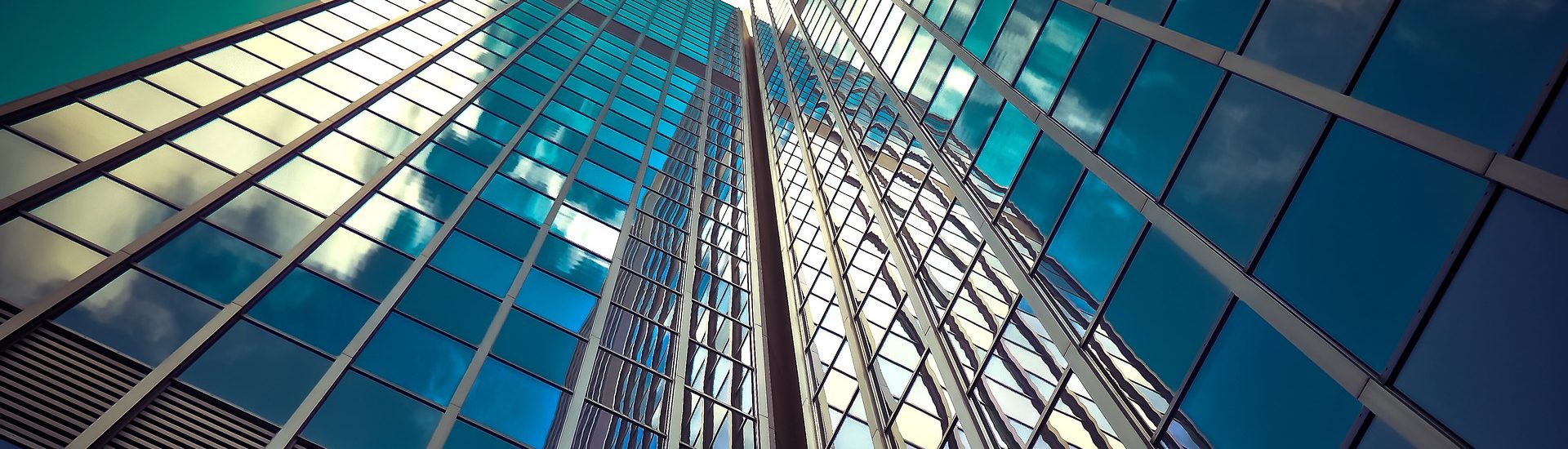 Forester Haynie Dallas,  Office