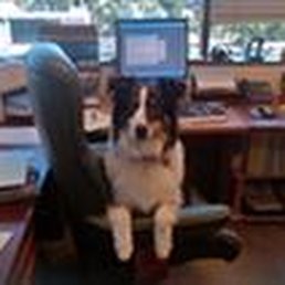 Howard Marshack Law Firm Vancouver, WA Office