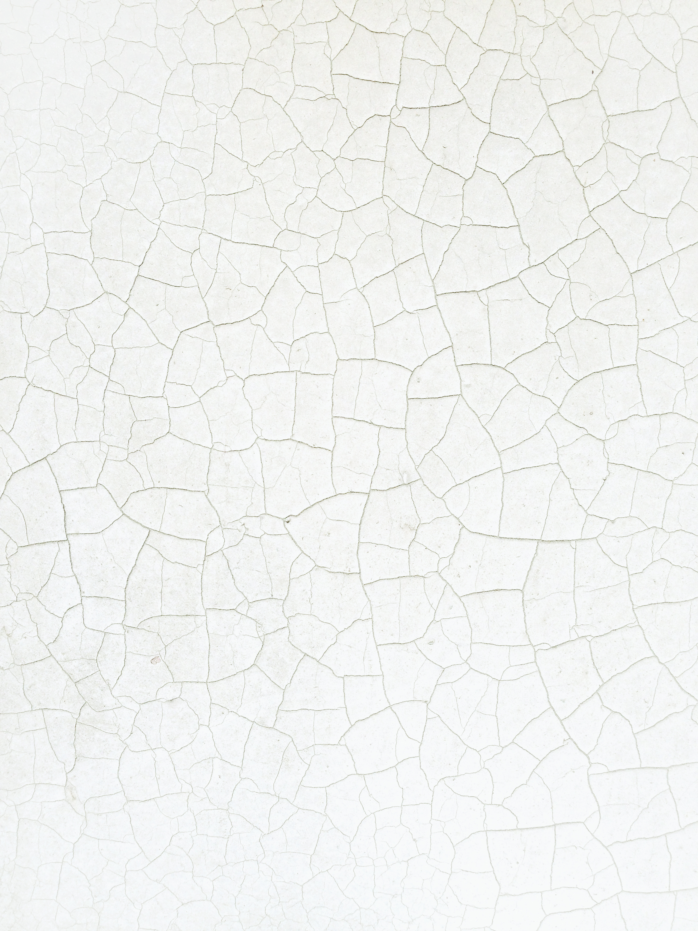 FB Rice Sydney, Australia Office