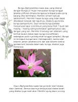 Jincheng, Tongda & Neal Chengdu, China Office