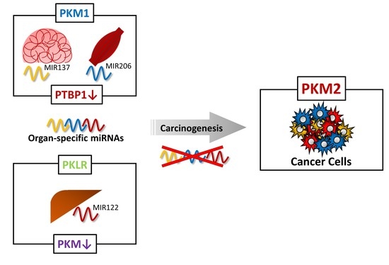 Lehman, Lee & Xu Harbin, China Office