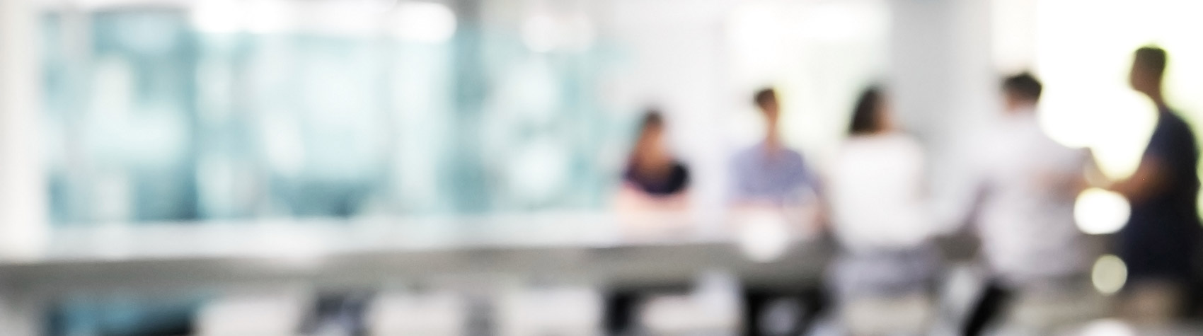 Bousquet Holstein PLLC Albany, NY Office