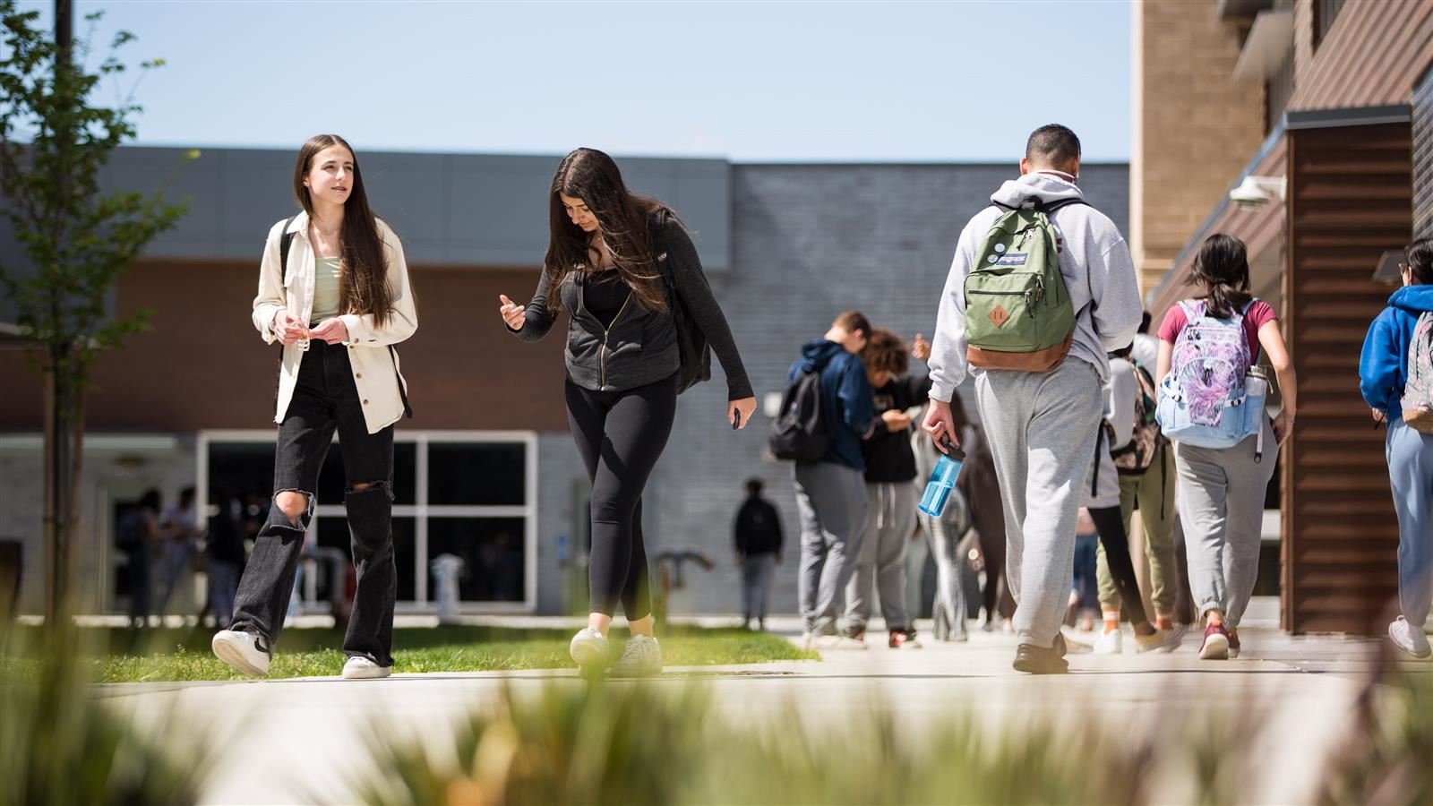 The Burton Law Firm Roseville, CA Office