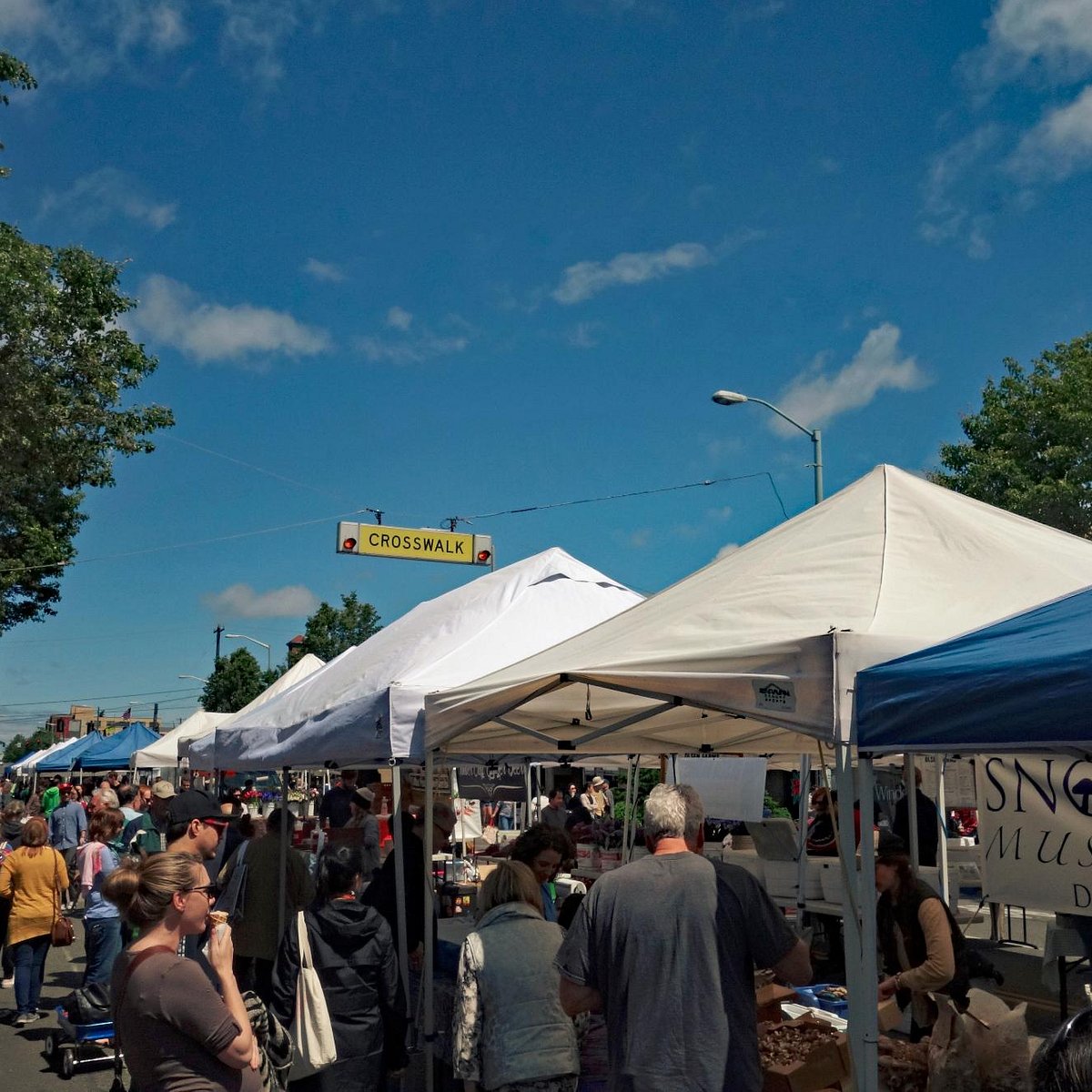 Llewellyn & Shafer, PLLC Seattle,  Office