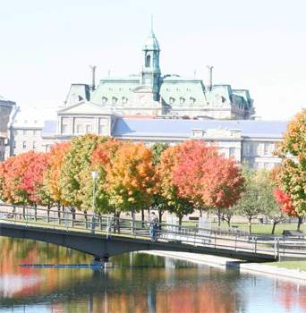 Biedermann Hoenig Semprevivo New York City,  Office