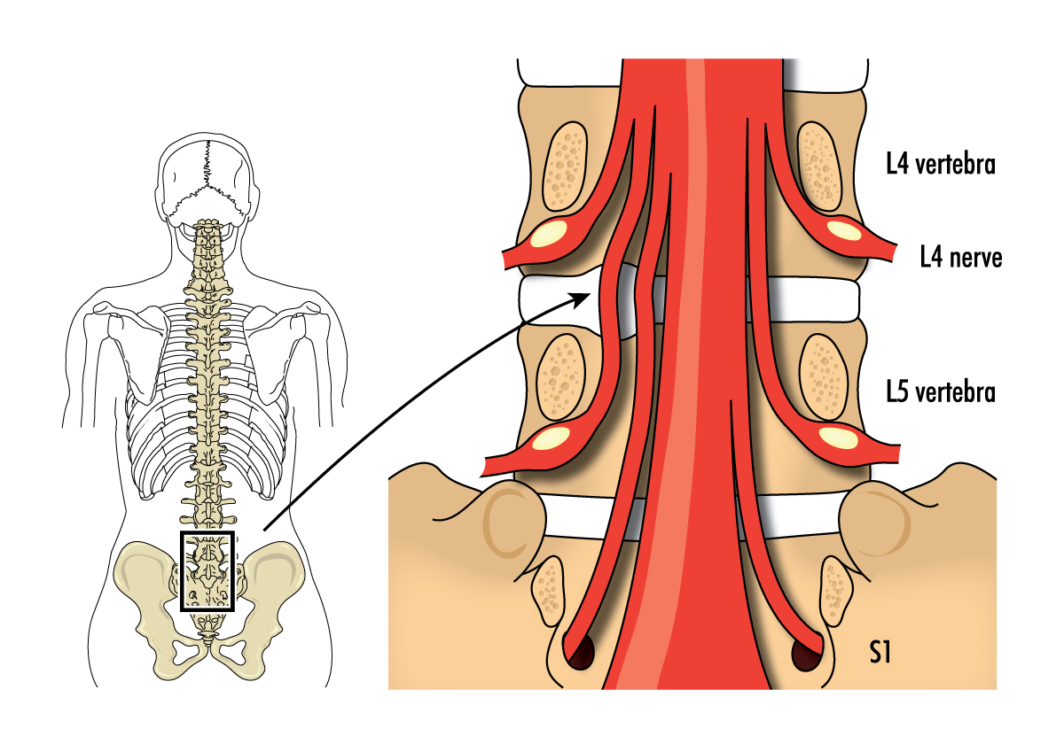 Moore Barlow LLP Lymington, United Kingdom Office