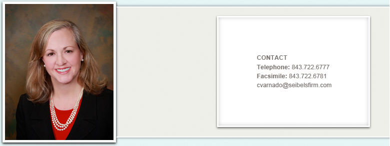 The Seibels Law Firm PA Charleston, SC Office