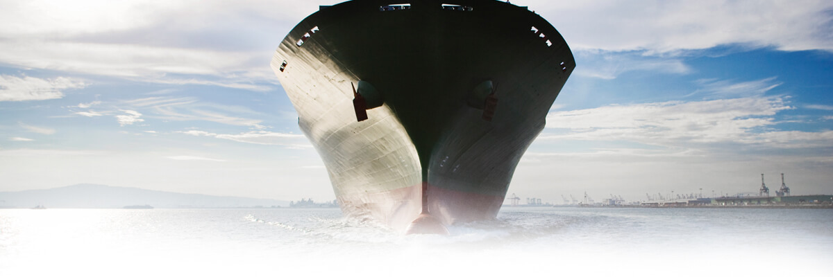 Hofhuis Alkema Groen Amsterdam, Netherlands Office