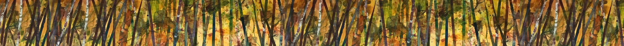 Schafer Thomas Maez PC Broomfield, CO Office