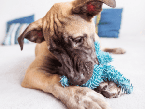 Jacoby & Meyers Bakersfield, CA Office