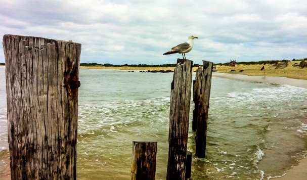 Flaster Greenberg PC Linwood, NJ Office