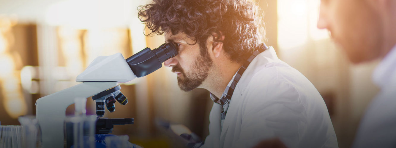 Craco & Ellworth, LLP Manhasset, NY Office