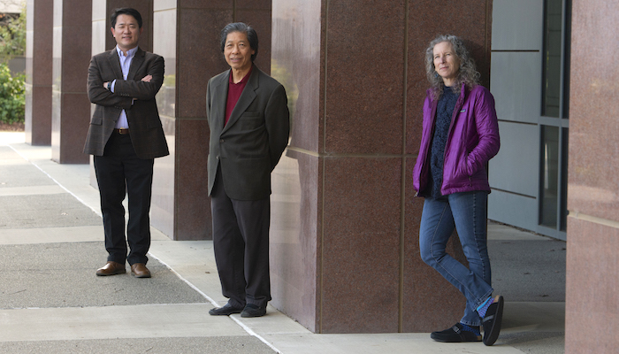 Davis Wang San Francisco,  Office