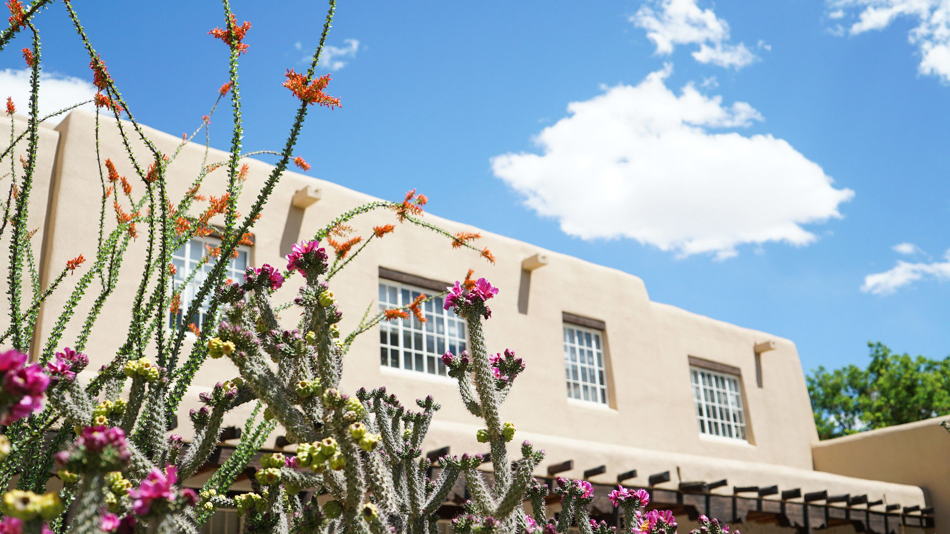 Guglielmo and Associates Albuquerque, NM Office