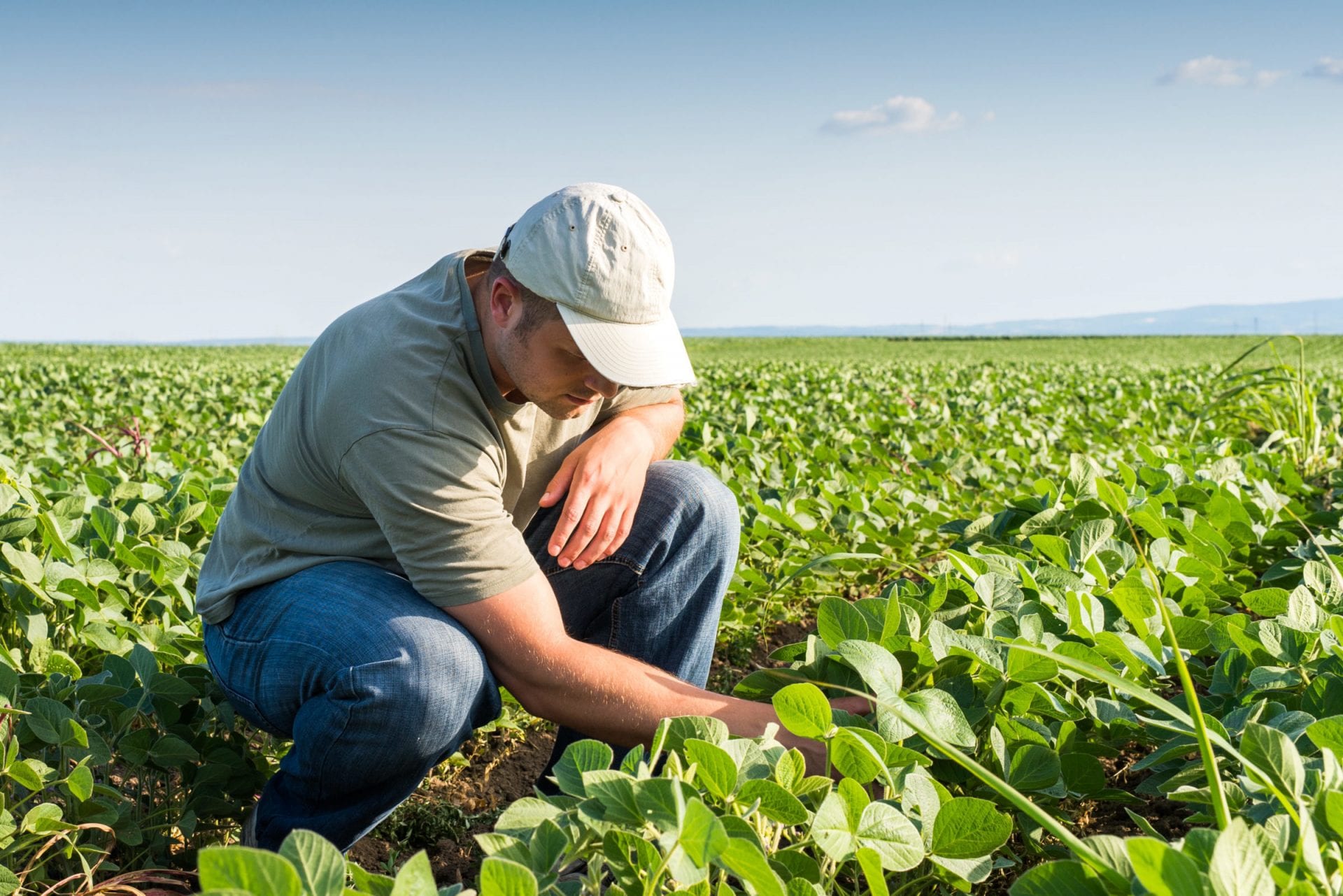 McCague Borlack LLP Ottawa, Canada Office