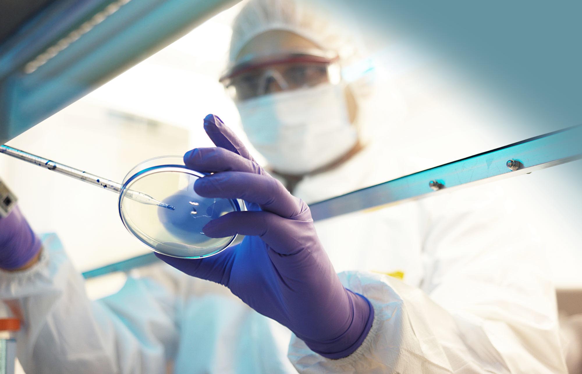 Dierks + Bohle Rechtsanwlte Berlin, Germany Office