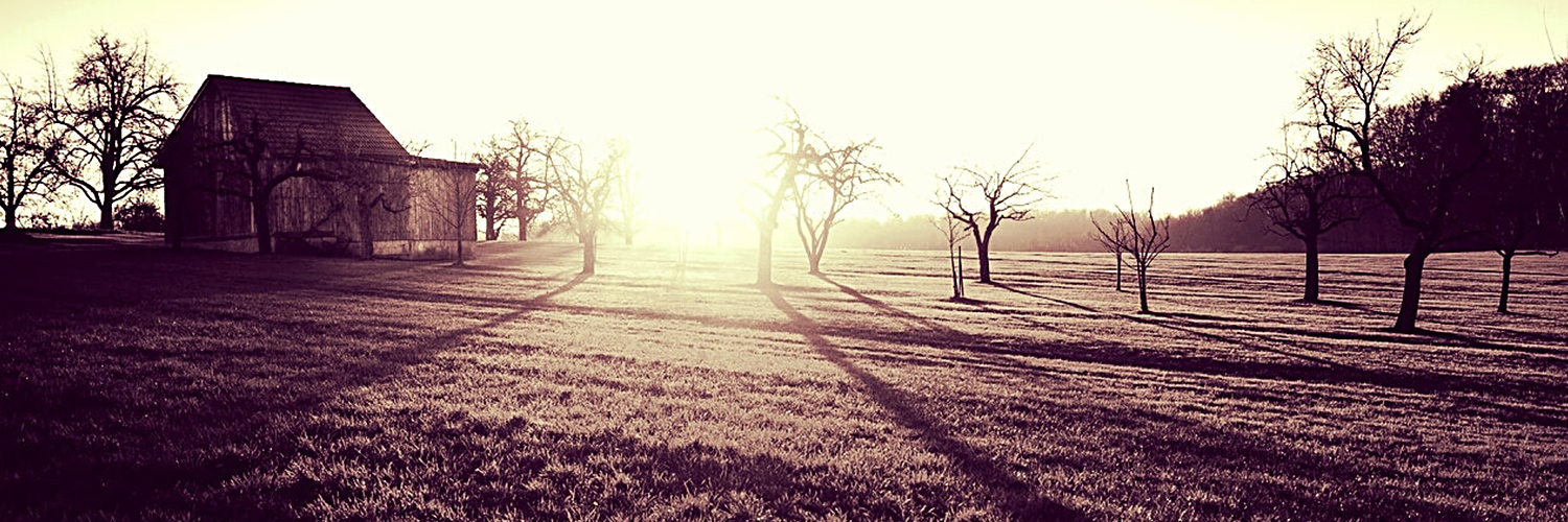 Bearnson & Caldwell LLC Cave Creek, AZ Office