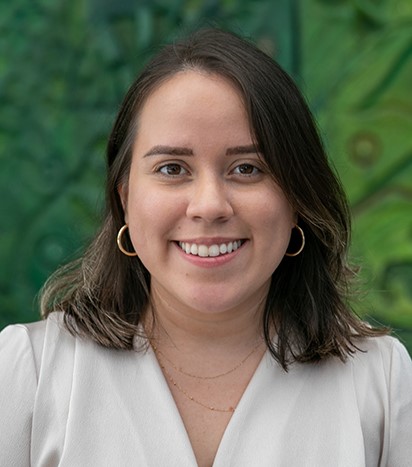 Pietrantoni Mendez & Alvarez LLC San Juan, PR Office