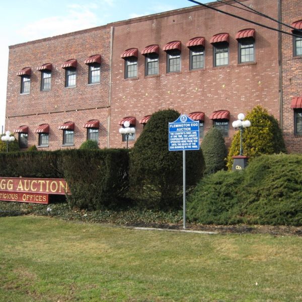 Maleski, Eisenhut & Zielinski, LLC Flemington, NJ Office