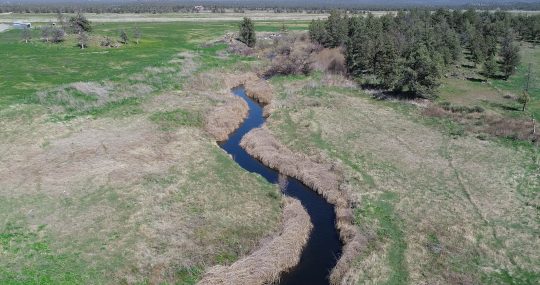 Cardoza Law Corporation San Francisco, CA Office
