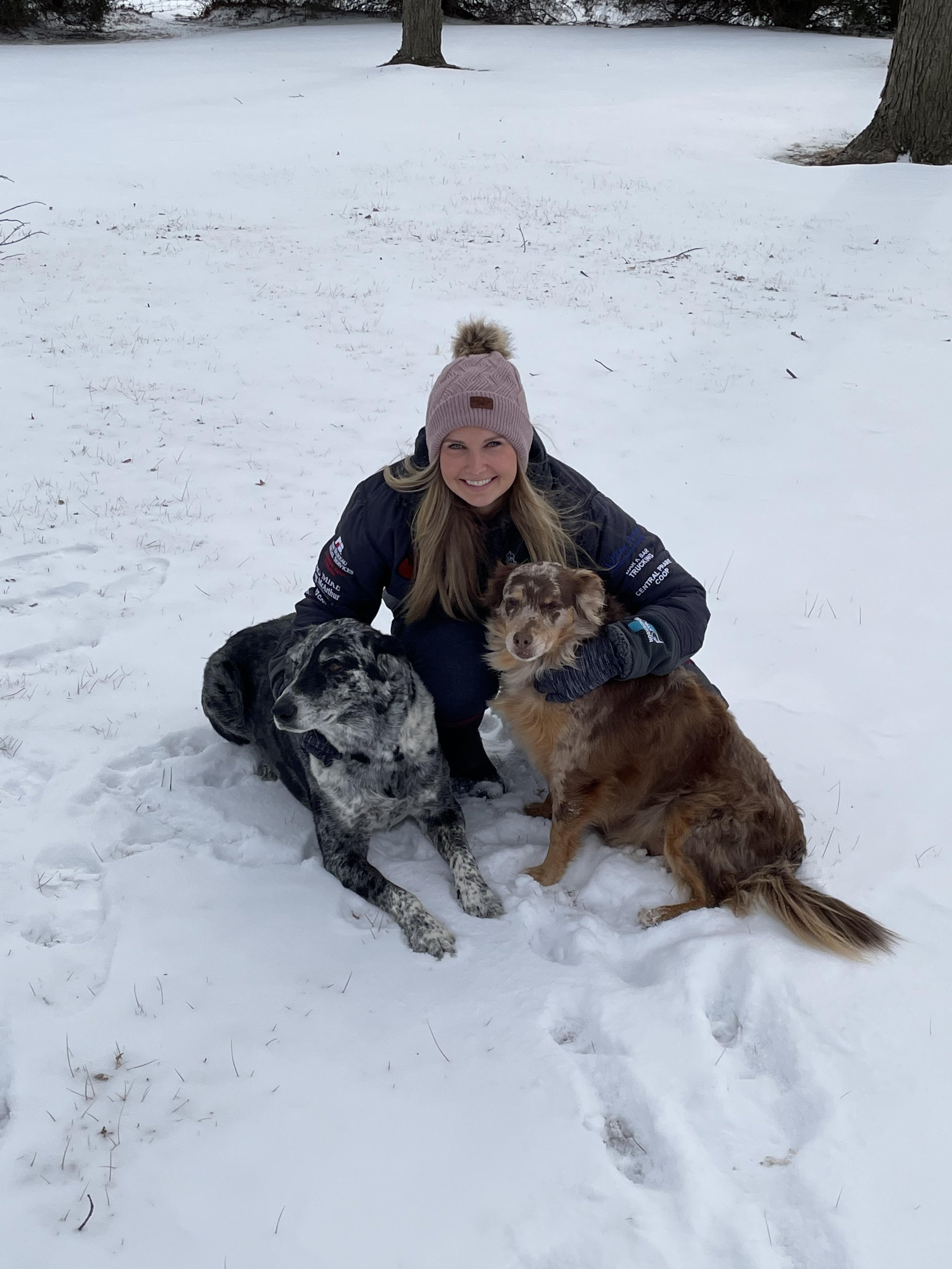 Bankston Gronning Brecht Anchorage, AK Office