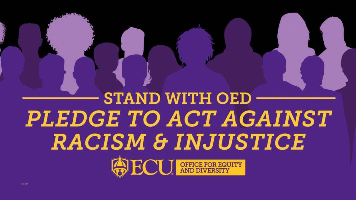 Duncan Cotterill NELSON,  Office