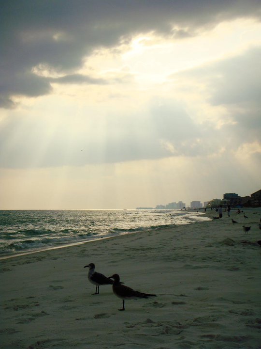 McNeese Title, LLC Destin,  Office