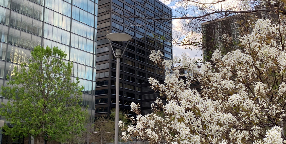 Bonezzi Switzer Polito & Perry Co. LPA Saint Petersburg, FL Office